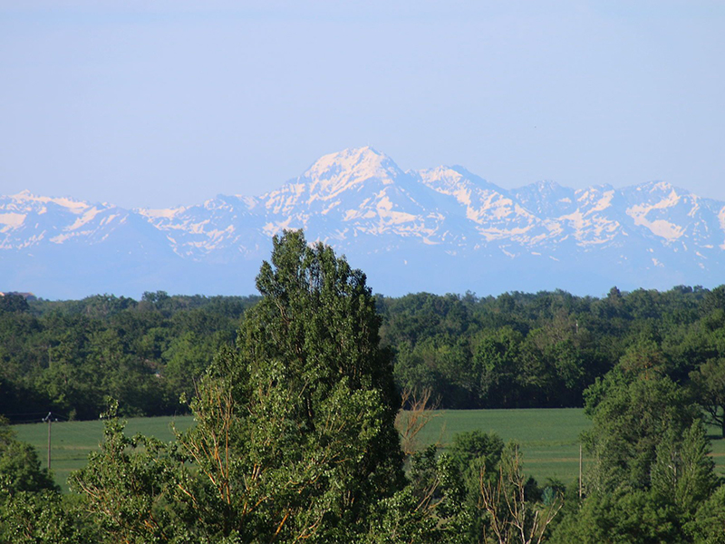 annonces immobilières Soustons